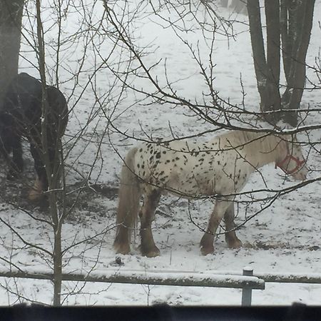 Penzion Na Slunicku Mariánská Eksteriør bilde