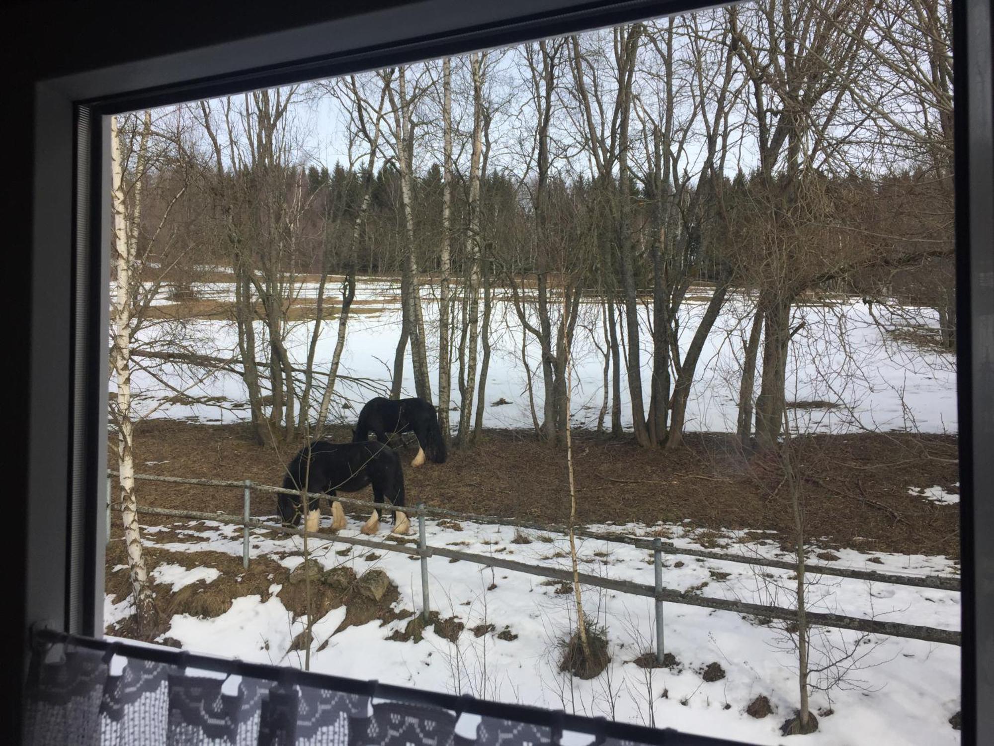 Penzion Na Slunicku Mariánská Eksteriør bilde
